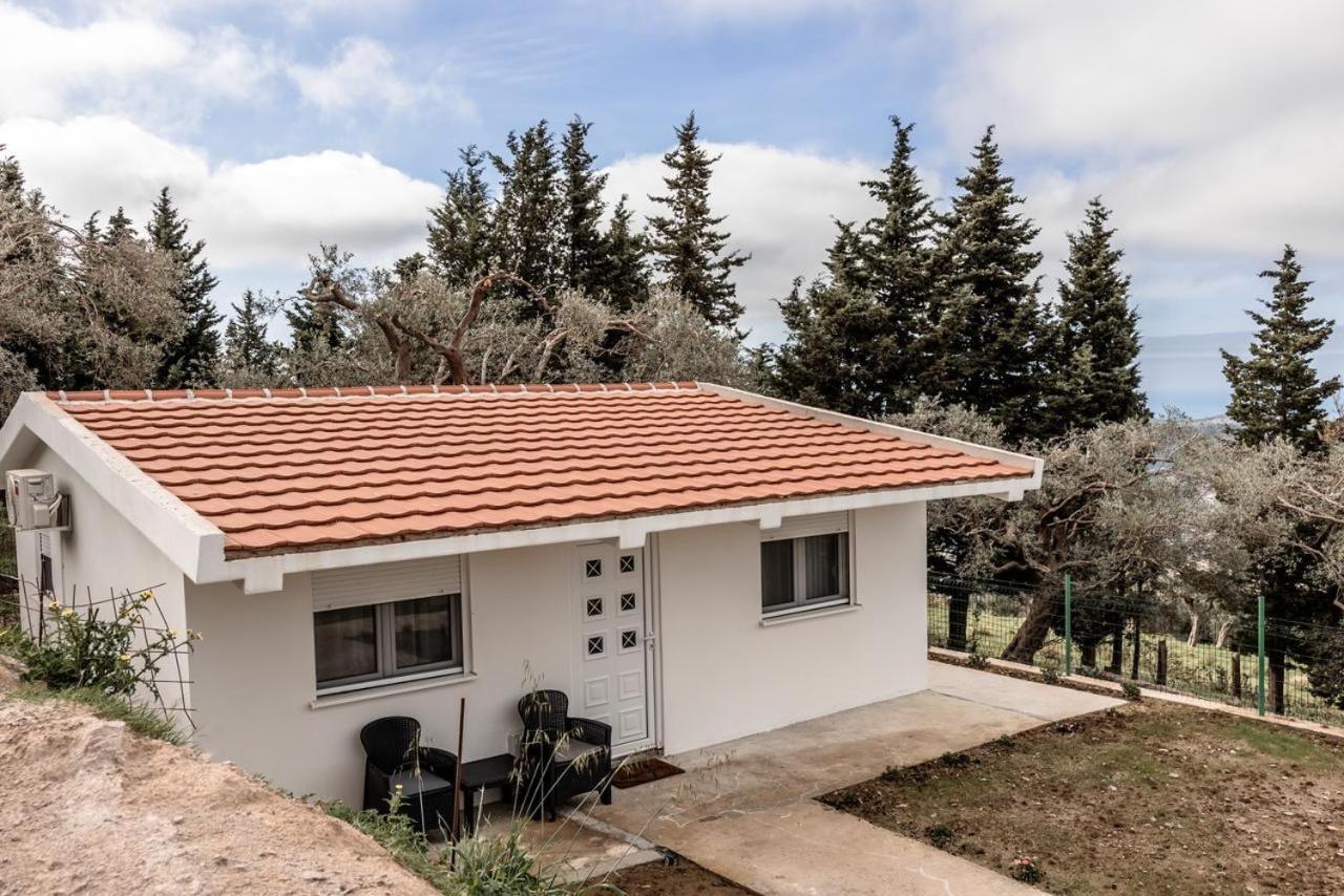 Olive Grove Apartamento Bar Exterior foto